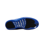 Air Jordan 12 Retro 'Blueberry'