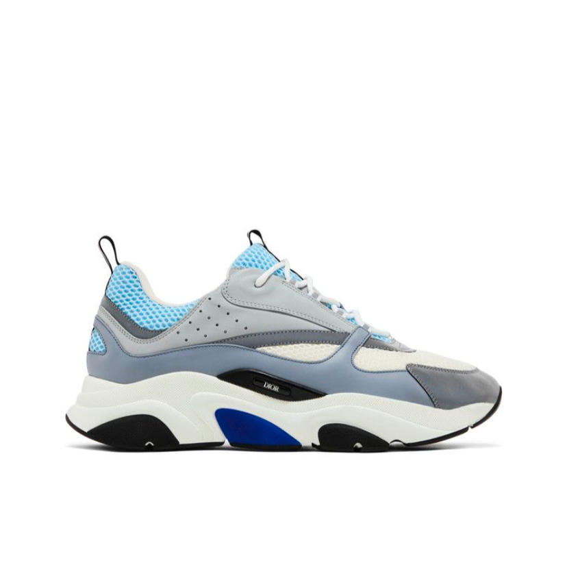 Dior B22 White Blue