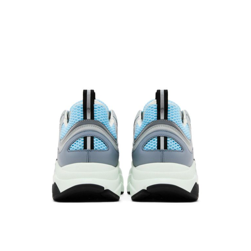 Dior B22 White Blue