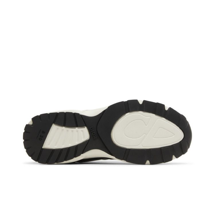Dior B30 Reflective CD30- Black